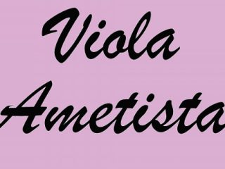 VIOLA/AMETISTA